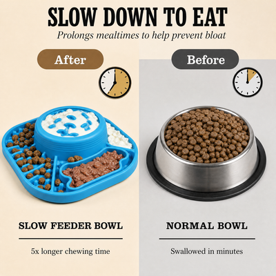 Pupplate — Slow Down, Chow Down