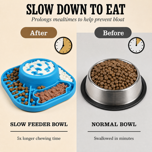 Pupplate — Slow Down, Chow Down